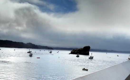 moorage at Trinidad Harbor, CA