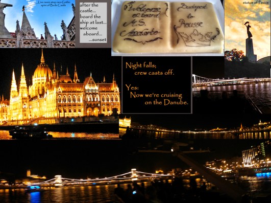 Cruising on the Danube