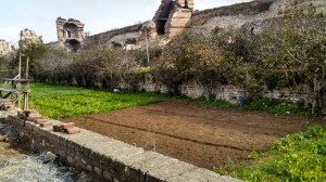 IMG_20141029_083937_644