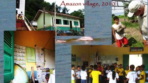 amazon village 2010