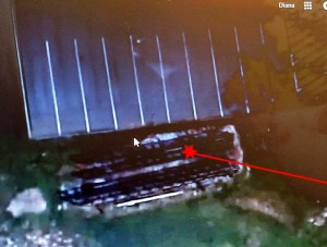 Haupt truss bridge @ RR museum