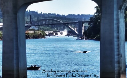 view from Jon Storm Park