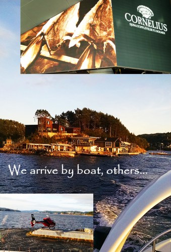 4-bergen-cornelius-1