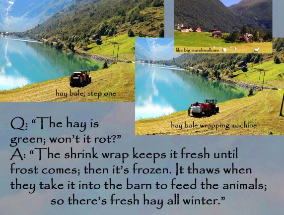 5-norway-hay-bale-wrapping-why-they-do-it