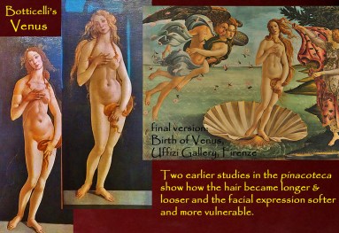 torino-botticelli-venere-3