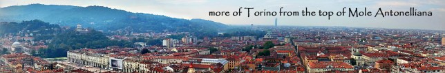 torino-panorama-1