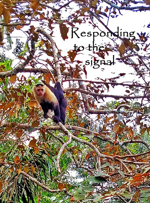 1-img_20170302_134912595-1