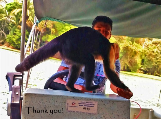 11-img_20170302_135356026-1