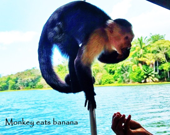 4-img_20170302_135156878_hdr-1