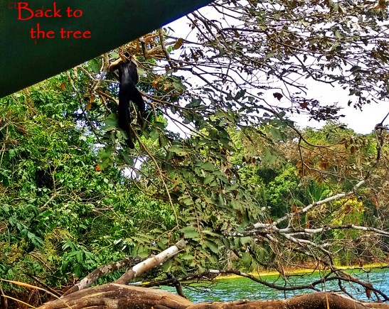 5-img_20170302_135215657_hdr-1