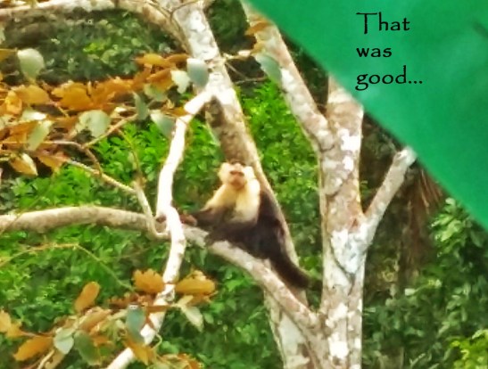 6-img_20170302_135424996