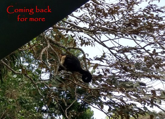 7-img_20170302_135219654_hdr-1