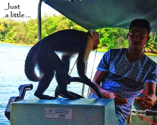 9-img_20170302_135515963-1